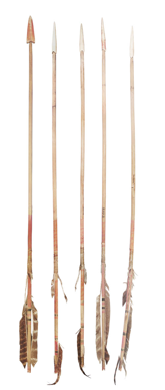 Peabody Museum Arrows
